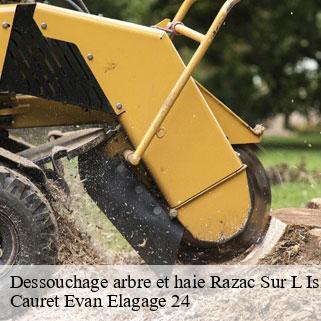 Dessouchage arbre et haie  razac-sur-l-isle-24430 Cauret Evan Elagage 24