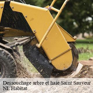 Dessouchage arbre et haie  saint-sauveur-24520 NL Habitat 