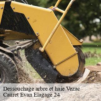 Dessouchage arbre et haie  vezac-24220 Cauret Evan Elagage 24