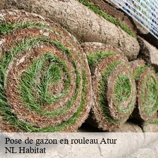 Pose de gazon en rouleau  atur-24750 NL Habitat