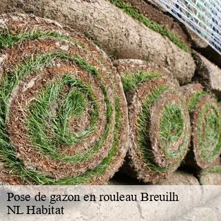 Pose de gazon en rouleau  breuilh-24380 NL Habitat