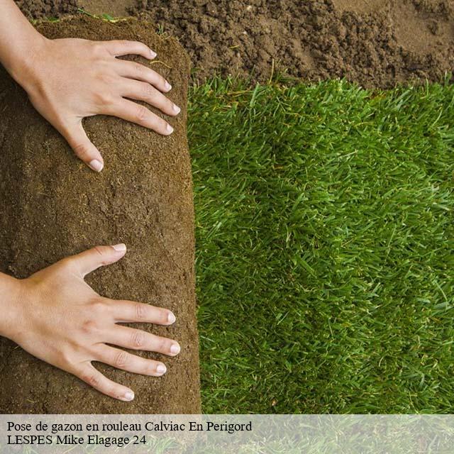 Pose de gazon en rouleau calviac-en-perigord-24370 LESPES Mike Elagage 24