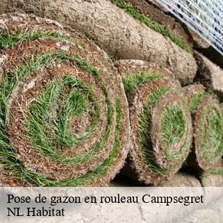 Pose de gazon en rouleau  campsegret-24140 NL Habitat