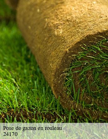 Pose de gazon en rouleau 24170