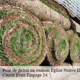Pose de gazon en rouleau  eglise-neuve-de-vergt-24380 Cauret Evan Elagage 24