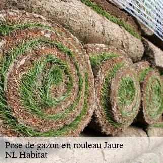 Pose de gazon en rouleau  jaure-24140 NL Habitat