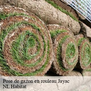 Pose de gazon en rouleau  jayac-24590 NL Habitat 