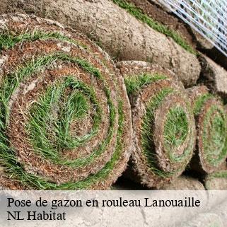 Pose de gazon en rouleau  lanouaille-24270 NL Habitat 