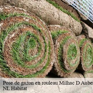 Pose de gazon en rouleau  milhac-d-auberoche-24330 NL Habitat