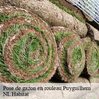 Pose de gazon en rouleau  puyguilhem-24240 NL Habitat 