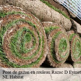 Pose de gazon en rouleau  razac-d-eymet-24500 NL Habitat 