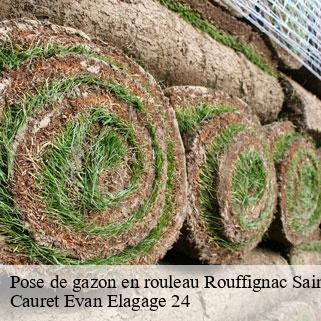 Pose de gazon en rouleau rouffignac-saint-cernin-de-r-24580 Cauret Evan Elagage 24