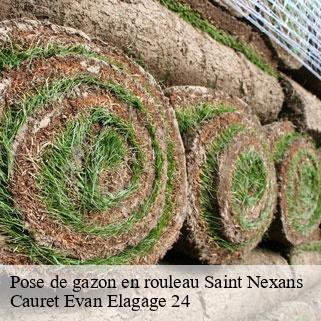Pose de gazon en rouleau  saint-nexans-24520 Cauret Evan Elagage 24