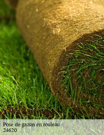 Pose de gazon en rouleau  24620
