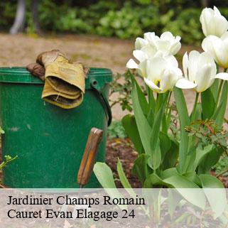 Jardinier  champs-romain-24470 Cauret Evan Elagage 24