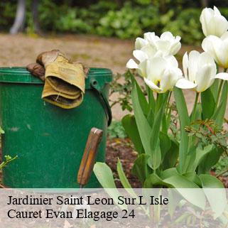 Jardinier  saint-leon-sur-l-isle-24110 Cauret Evan Elagage 24
