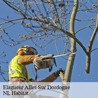 Elagueur  alles-sur-dordogne-24480 NL Habitat 