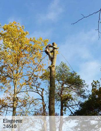Elagueur  24640