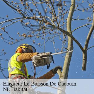 Elagueur  le-buisson-de-cadouin-24480 NL Habitat