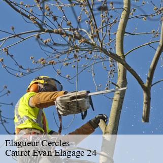 Elagueur  cercles-24320 Cauret Evan Elagage 24
