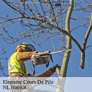 Elagueur  cours-de-pile-24520 NL Habitat