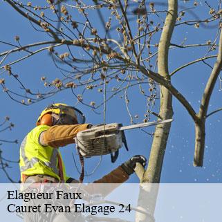Elagueur  faux-24560 Cauret Evan Elagage 24
