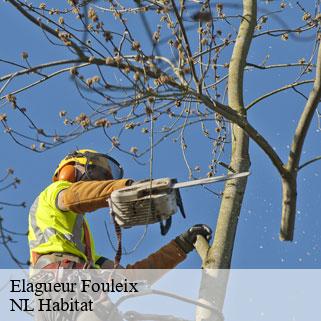 Elagueur  fouleix-24380 NL Habitat 