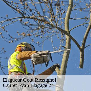 Elagueur  gout-rossignol-24320 Cauret Evan Elagage 24