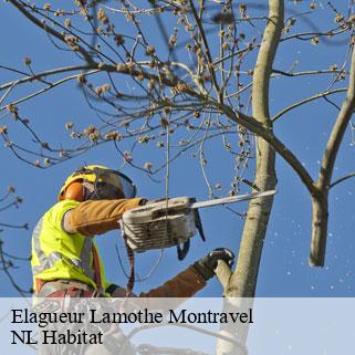 Elagueur  lamothe-montravel-24230 NL Habitat