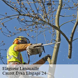Elagueur  lanouaille-24270 Cauret Evan Elagage 24