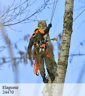 Elagueur 24470