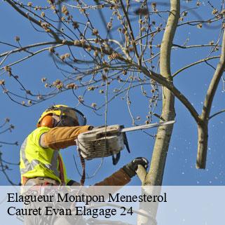 Elagueur  montpon-menesterol-24700 Cauret Evan Elagage 24