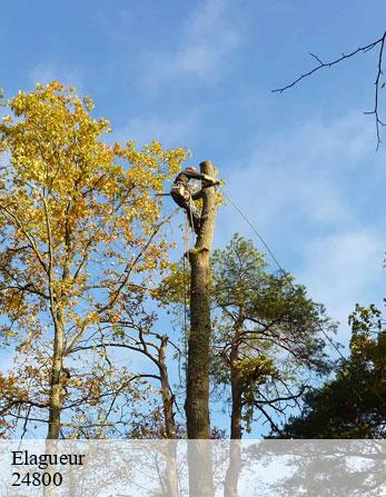 Elagueur  24800