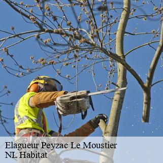 Elagueur  peyzac-le-moustier-24620 NL Habitat 