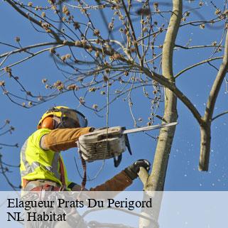 Elagueur  prats-du-perigord-24550 NL Habitat