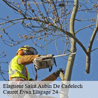 Elagueur  saint-aubin-de-cadelech-24500 Cauret Evan Elagage 24