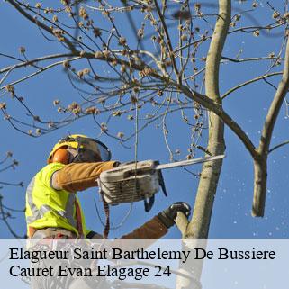 Elagueur  saint-barthelemy-de-bussiere-24360 Cauret Evan Elagage 24