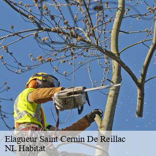 Elagueur  saint-cernin-de-reillac-24580 NL Habitat 