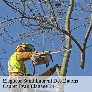 Elagueur  saint-laurent-des-batons-24510 Cauret Evan Elagage 24