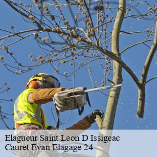 Elagueur  saint-leon-d-issigeac-24560 Cauret Evan Elagage 24