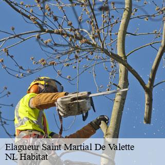 Elagueur  saint-martial-de-valette-24300 NL Habitat 