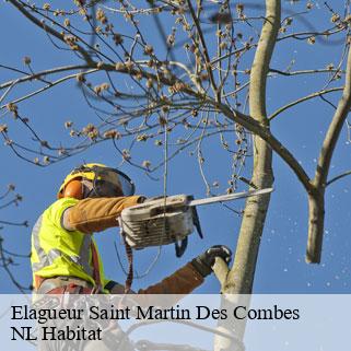 Elagueur  saint-martin-des-combes-24140 NL Habitat