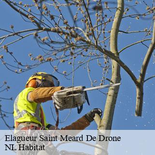 Elagueur  saint-meard-de-drone-24600 NL Habitat