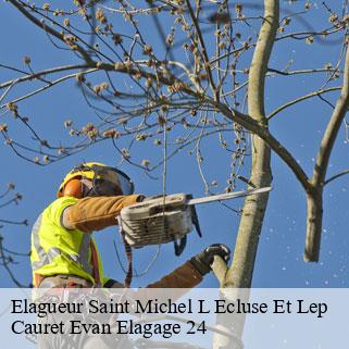 Elagueur  saint-michel-l-ecluse-et-lep-24490 Cauret Evan Elagage 24