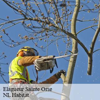 Elagueur  sainte-orse-24210 NL Habitat