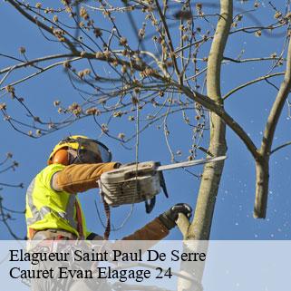 Elagueur  saint-paul-de-serre-24380 Cauret Evan Elagage 24