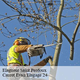 Elagueur  saint-perdoux-24560 Cauret Evan Elagage 24