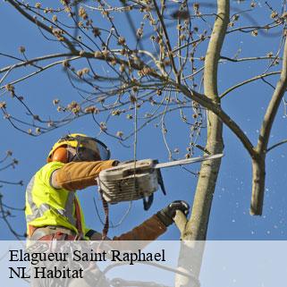 Elagueur  saint-raphael-24160 NL Habitat