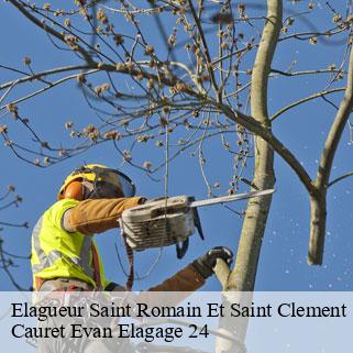 Elagueur  saint-romain-et-saint-clement-24800 Cauret Evan Elagage 24