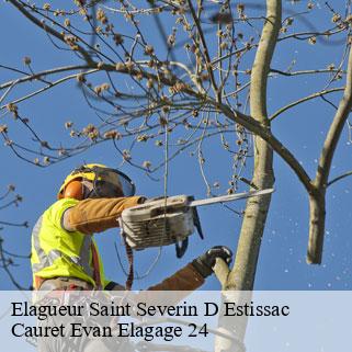 Elagueur  saint-severin-d-estissac-24190 Cauret Evan Elagage 24